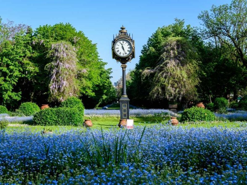 12 lucruri interesante pe care poate nu le știai despre Parcul Cișmigiu